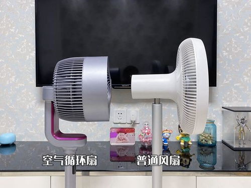 空气循环扇该怎么选?三款主流空气循环扇强势对决